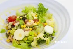 Mediterránea Verd i Verd Salad Bar-Cafetería