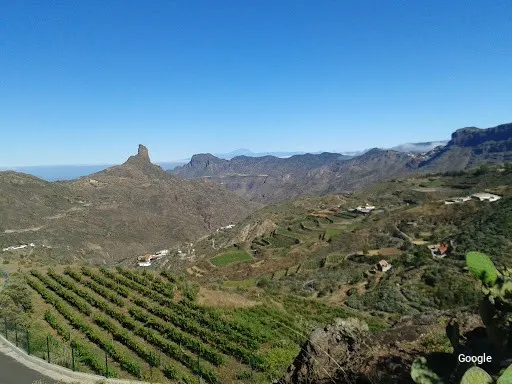 Vegetariana Bodegas Bentayga