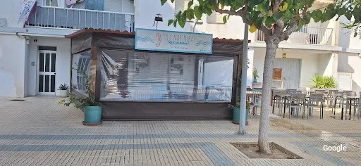 Vegetarian Tela Marinera
