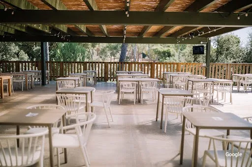 Vegetariana Green Chill Out Cala Gogo
