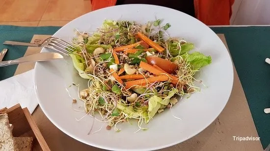 Vegetariana Gaia