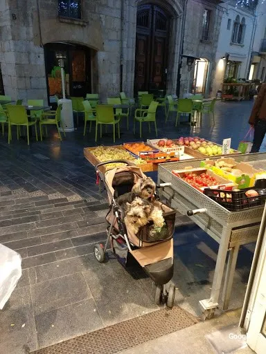 Mediterranean Escalipatxo
