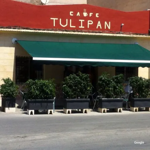 Vegetariana Café Tulipán