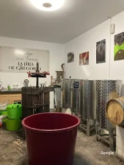 Vegetariana Bodegas Ana García