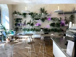 Asiática Urban cafe