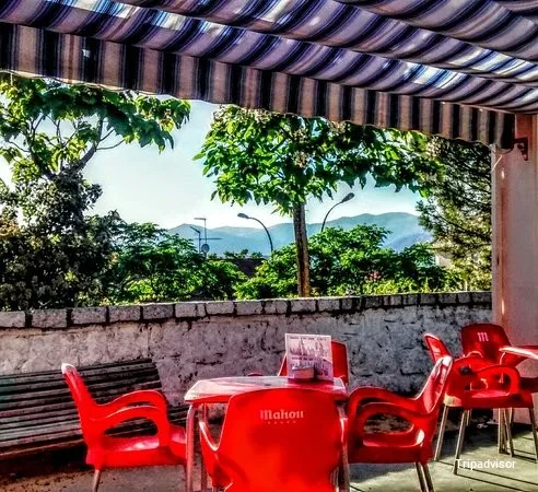 Vegetariana La Terraza de San Andrés