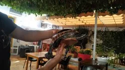 Vegetariana Restaurante El Otro Caldero