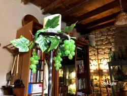 Vegetariana Es Confidencial Restaurante
