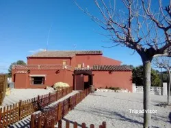 Vegetariana La Masia Mas Astor