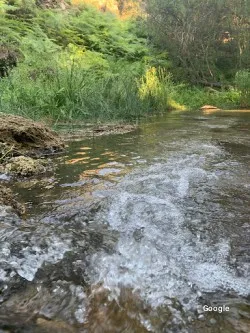 Altres cuines espanyoles Aguas Blancas