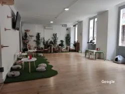 Vegetarian Ninus CatCafè