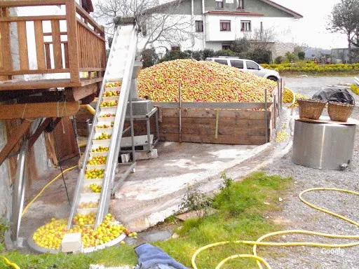 Vegetariana Casa Rural Arratzain - SIDRERIA-