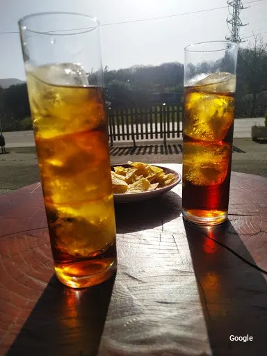 Vegetarian Peñamayor
