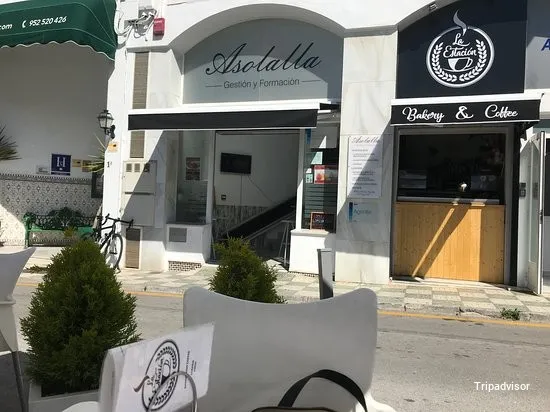 Vegetariana La Estación bakery coffe