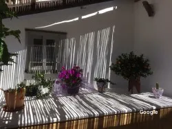 Marisco Shaha, España