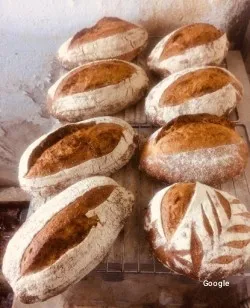Vegetariana Txiriboga Taberna