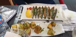 Tapas Ayala