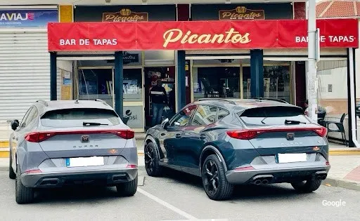 Barazki Jana Picantos