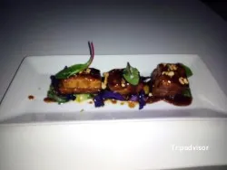 Vegetariana Los Años Perdidos