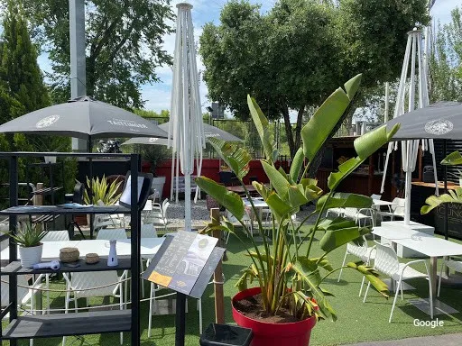 Vegetariana Audi Gourmet Lounge