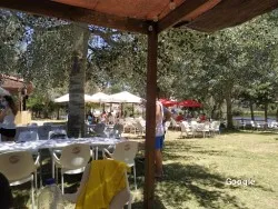 Vegetariana La Isla Chill Out