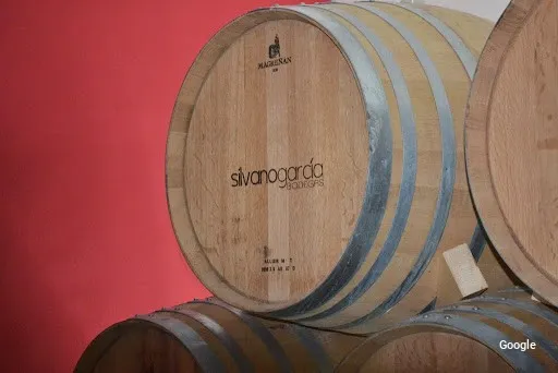 Vegetariana BODEGAS SILVANO GARCÍA