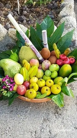 Otras cocinas VitaminaN Organic Food