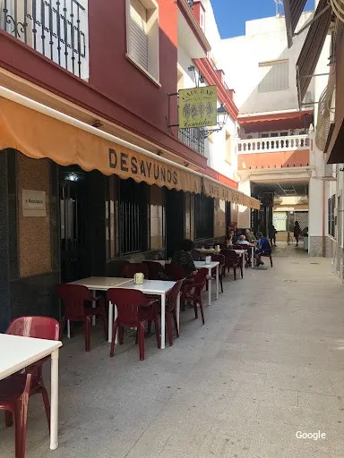 Vegetariana Rafa