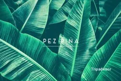 Brasileña Pez Piña