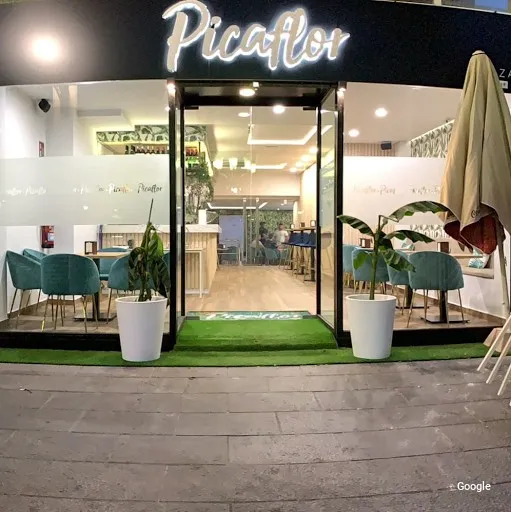 Vegetarian Picaflor Plaza