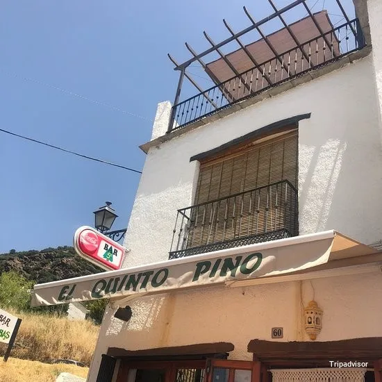 Vegetarian El Quinto Pino
