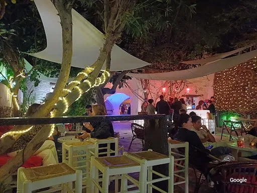 Vegetarian La Frontera music bar