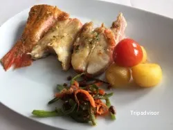 Vegetariana Casa Maravilla