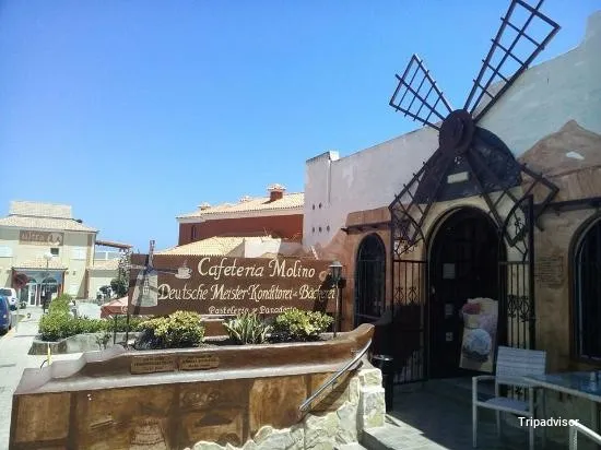 Vegetarian Cafeteria Molino