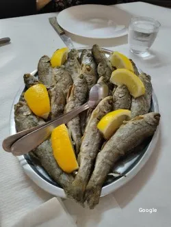 Vegetariana Lezetako Borda