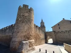 Mediterraneoa Hostal Torres
